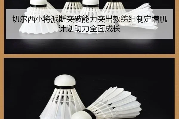 切尔西小将派斯突破能力突出教练组制定增肌计划助力全面成长